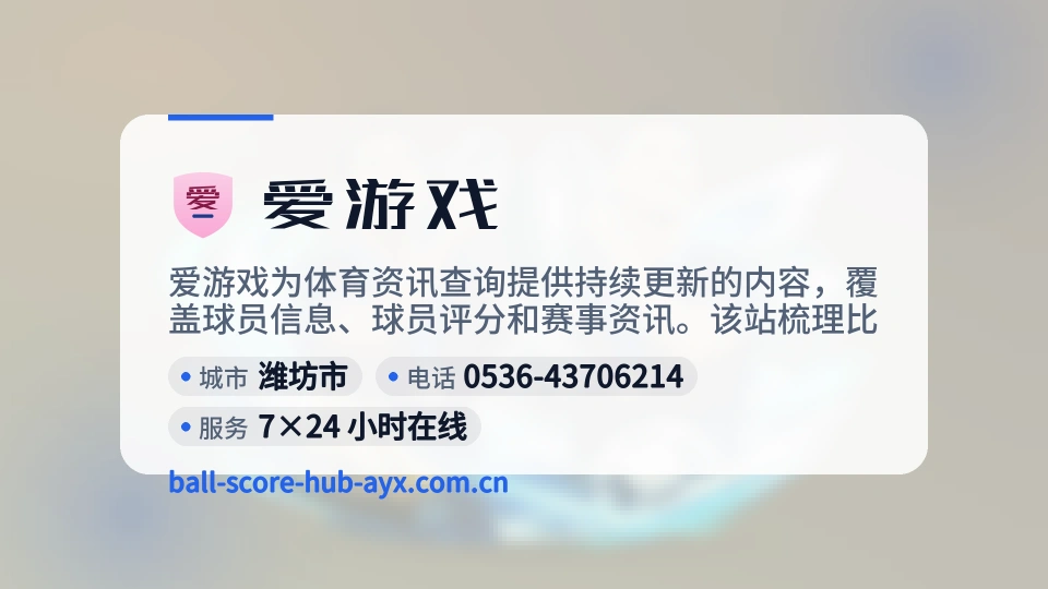 爱游戏是谁